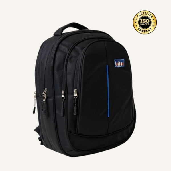 School bag (Harry )